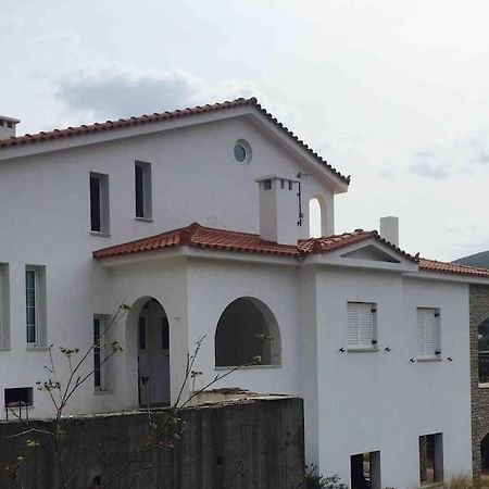 Villa Vlamari Samos Town Extérieur photo