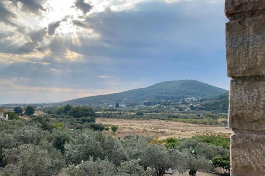 Villa Vlamari Samos Town Extérieur photo