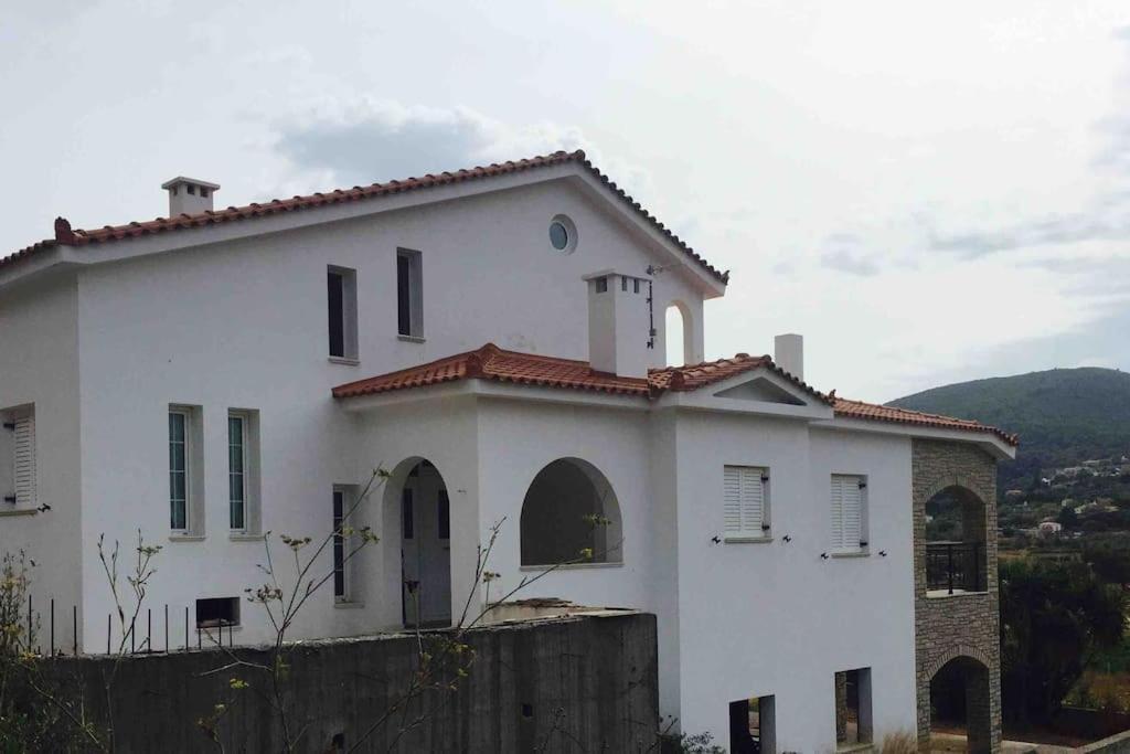 Villa Vlamari Samos Town Extérieur photo